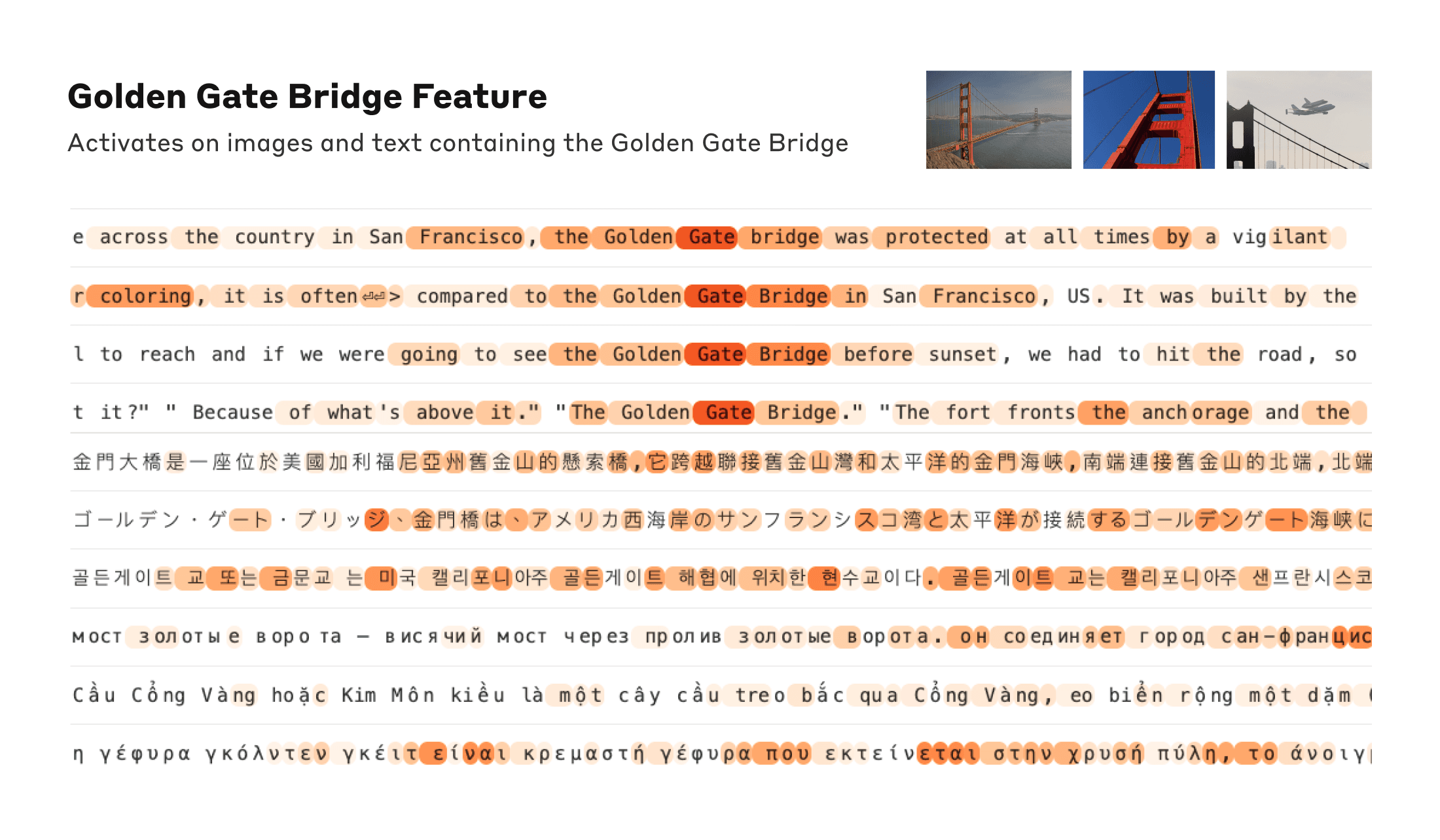 Golden Gate Bridge Feature