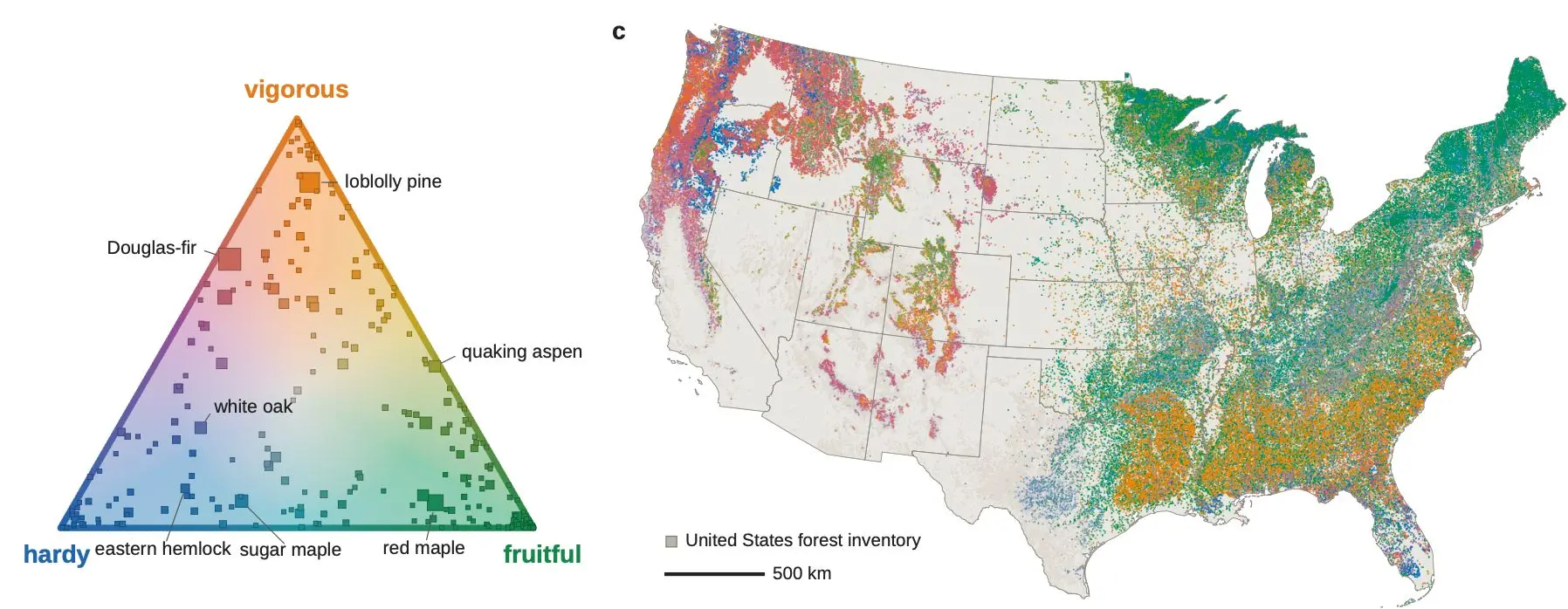 Graph of every forest inventory in the US color-coded by life history strategy